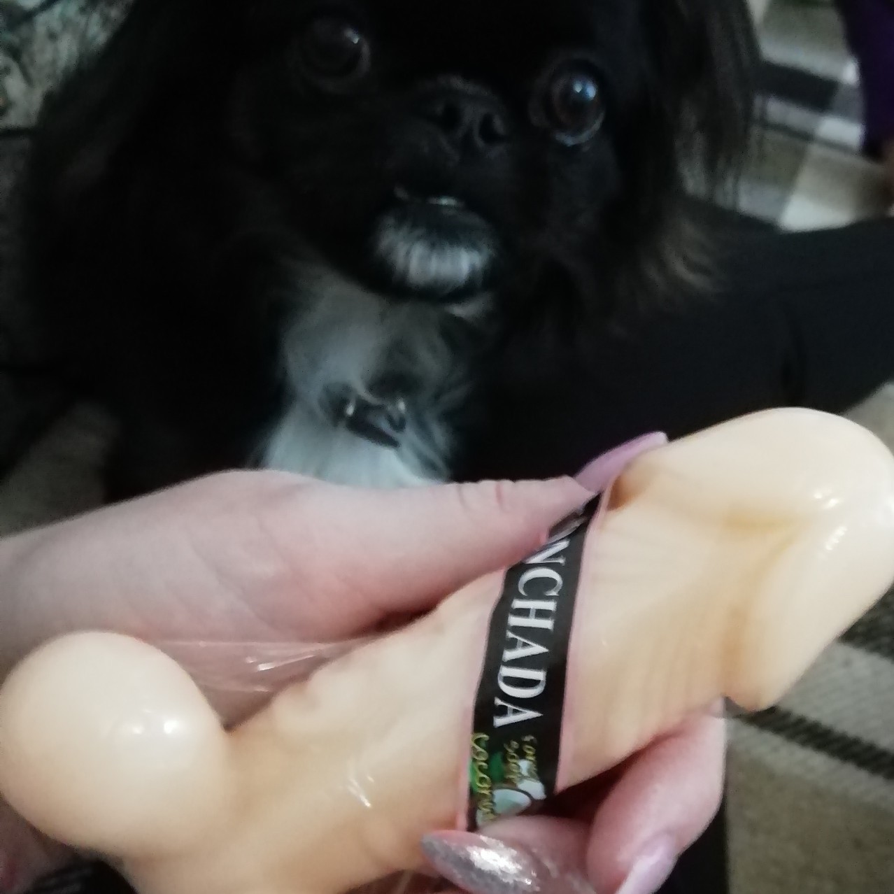 You don't have to :D - NSFW, Dog, Soap, Humor