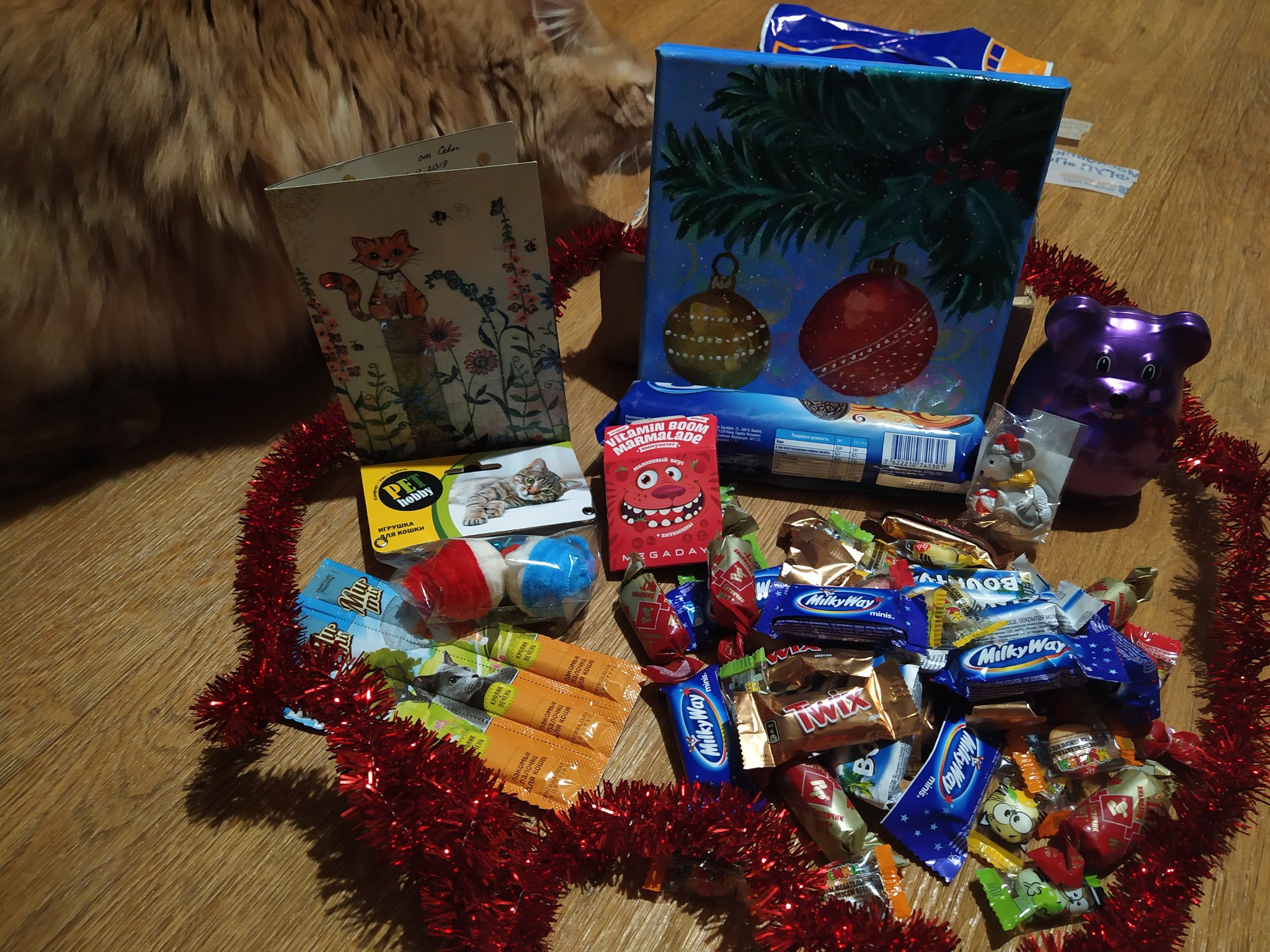 New Year's Exchange 2019/2020 - My, Gift exchange, Gift exchange report, New Year's gift exchange, Longpost, Secret Santa, cat