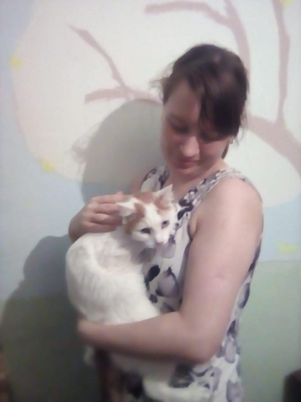 Life at the Kotoland home shelter 211 - My, cat, Shelter, Kindness, Lipetsk, Shelter Cotoland, Help, Longpost, In good hands