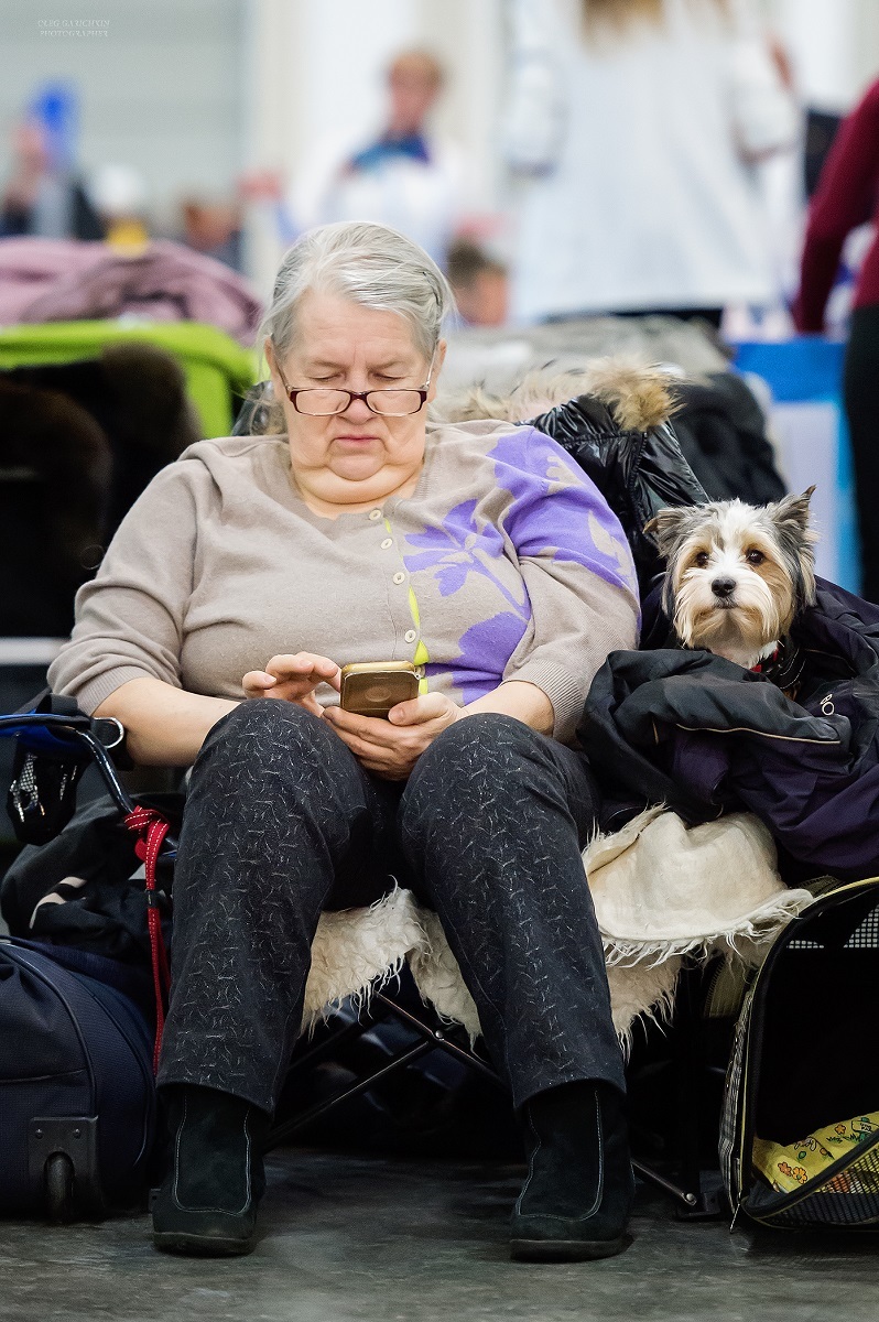 I continue to publish reportage photographs from dog shows held in the south of Russia and the Moscow region - enjoy your viewing and good luck to us - My, Dog, Dogs and people, Dog lovers, Dog days, Dog show, Animalistics, Longpost