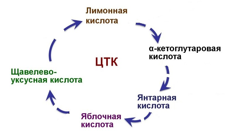 Memo on combating alcohol or How to survive buffets - Life hack, Alcohol, Corporate, Habr, Longpost, Narcology, Methodology