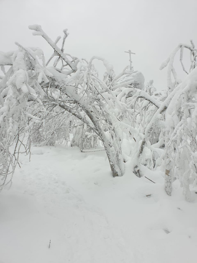 A little bit of winter)) - My, Snow, Winter, Village, New Year, Snowboard, Longpost