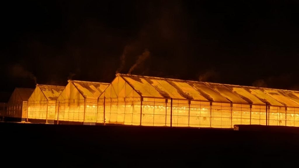 Japanese year-round greenhouse Sayuri in Yakutsk at -50C* part -1 - Sayuri, Greenhouse, Yakutsk, Cold, Longpost