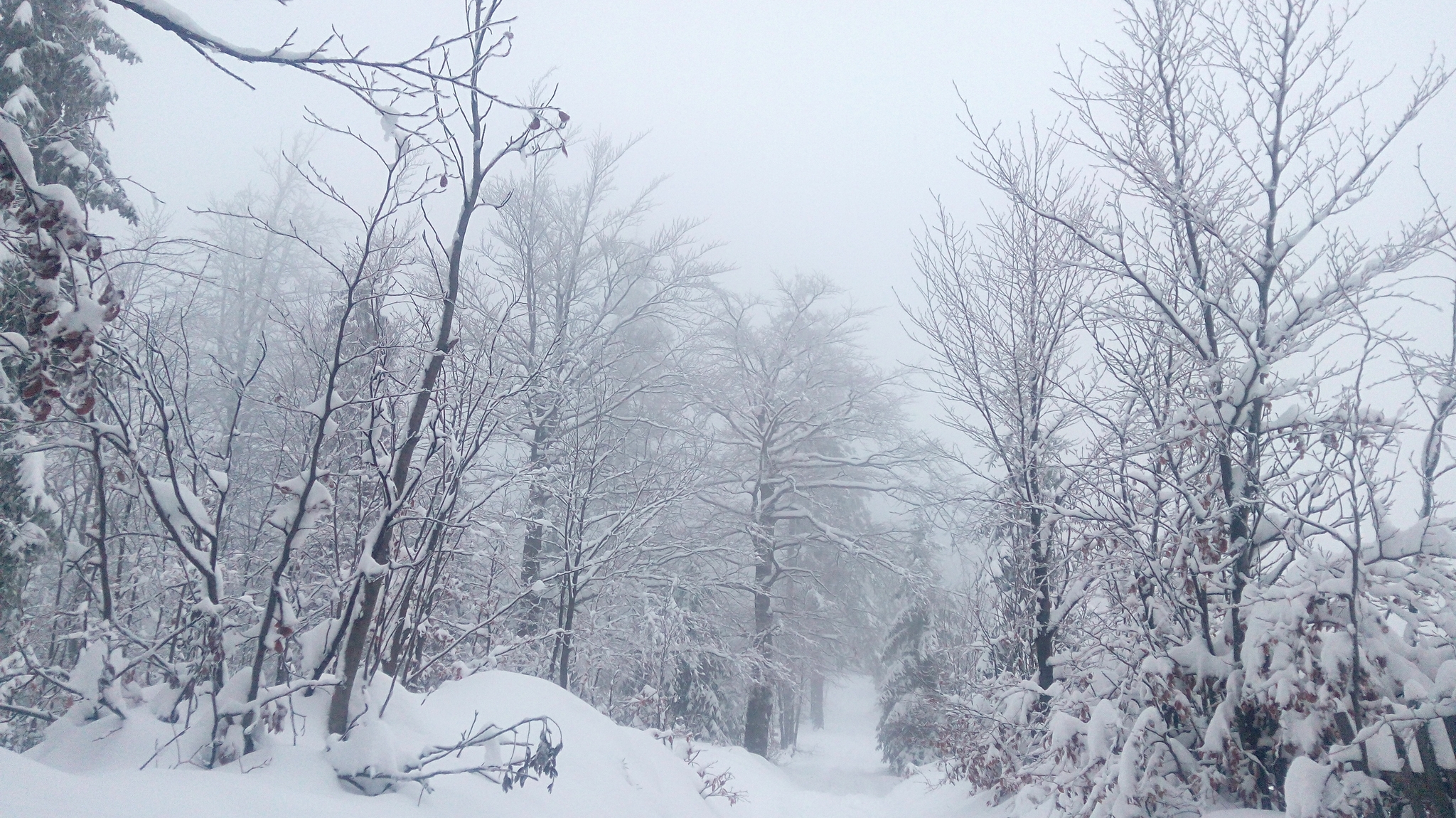 Winter - My, Longpost, Poland, Living abroad, Work abroad, Travels, Winter, The photo, The mountains