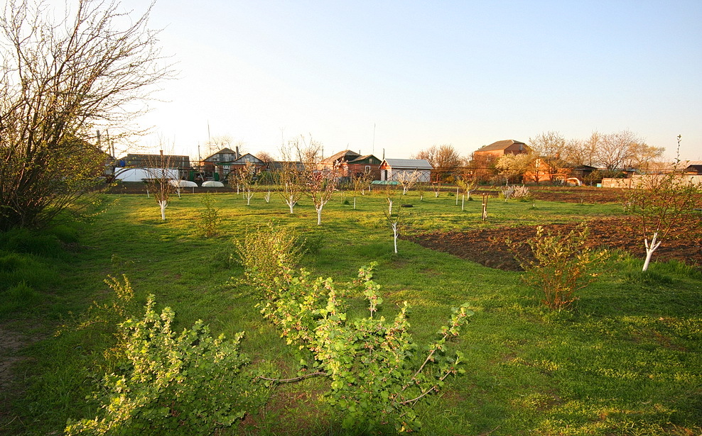 The village is like the city and even better. Final part - My, House, Garden, Roof, Village, Longpost