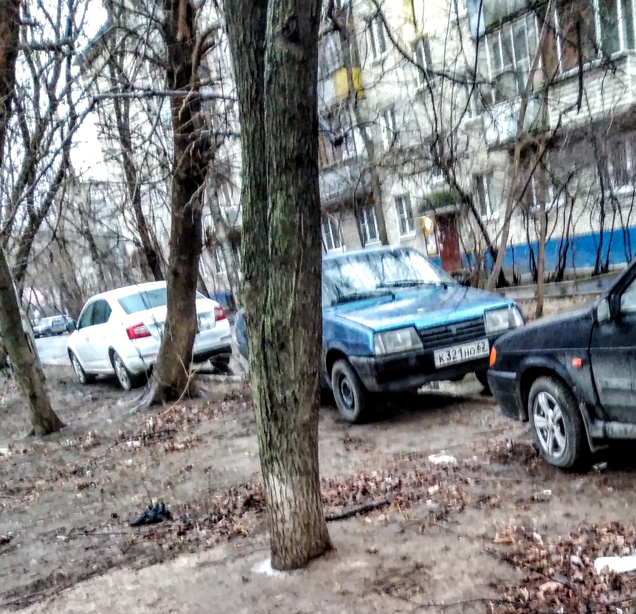 Hide the lawn behind the high fence, They will trample it along with the lawn - My, Beautification, Moscow region, Lawn, Parking, Europe, Courtyard, Longpost, Negative