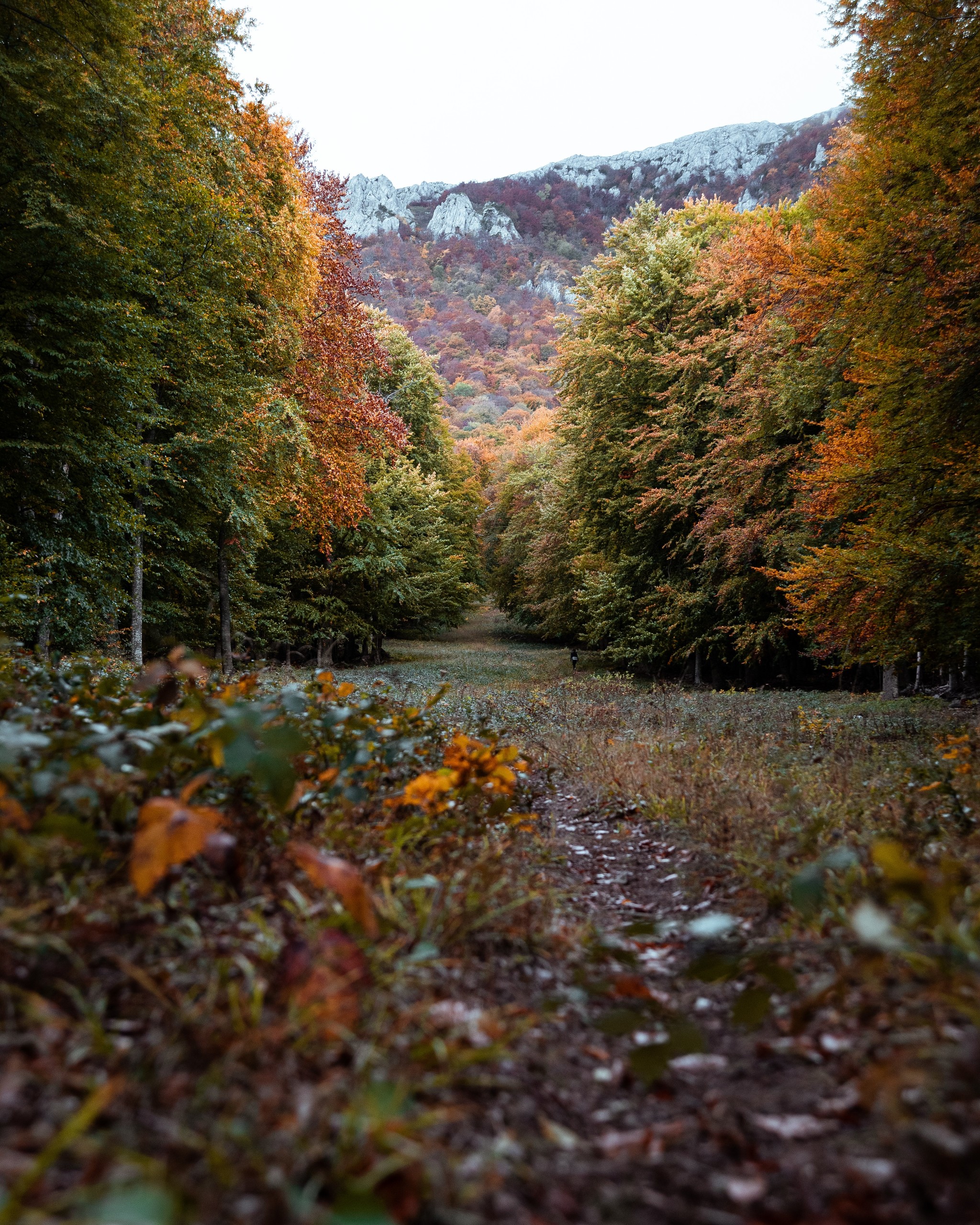 Crimea. Valley of Ghosts - My, The photo, Travels, Nikon, Crimea, The mountains, Fog, Autumn, Longpost