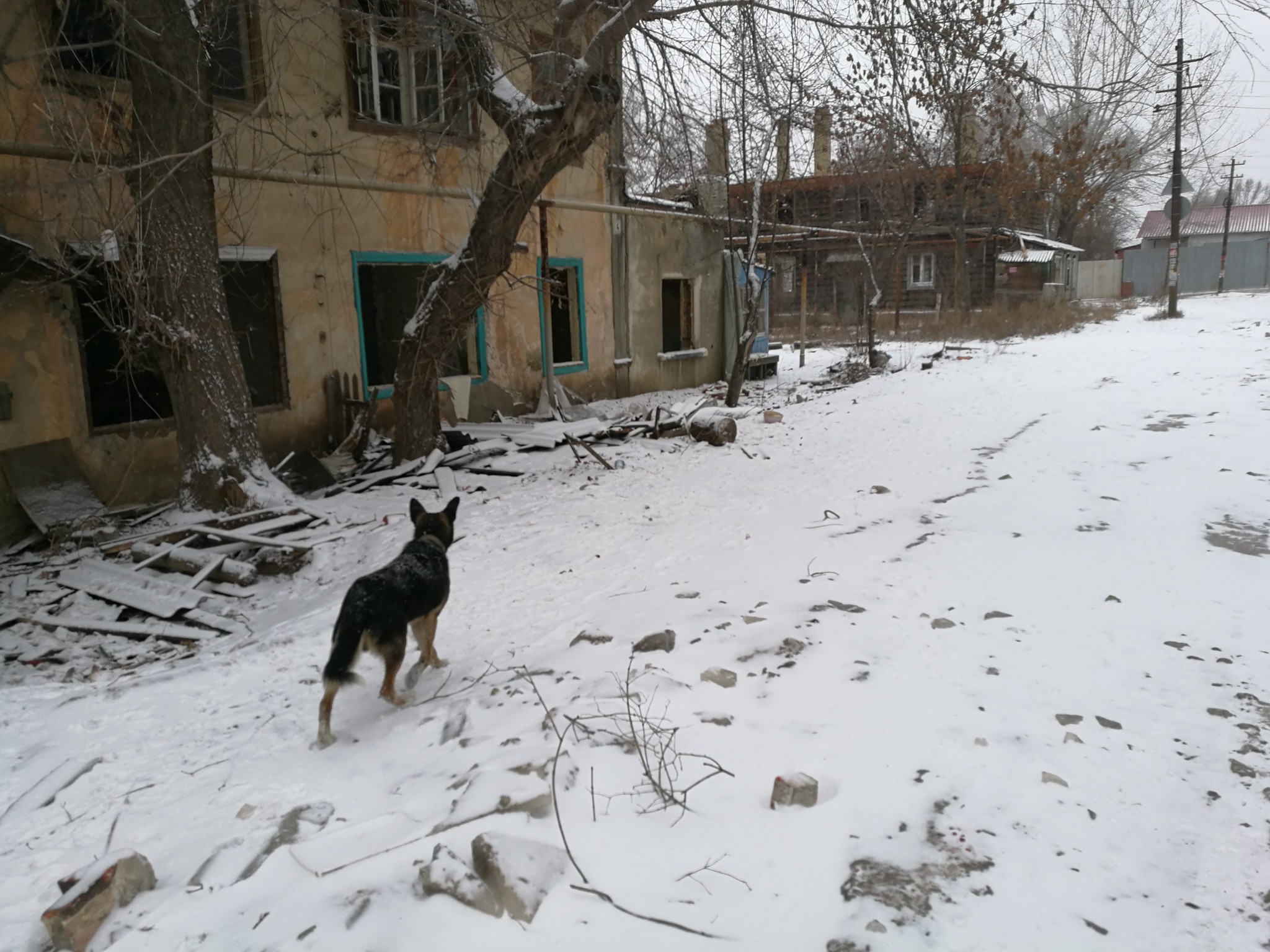 Г. Саратов, пос. «Елшанка» после ядерного взрыва, 2287 год | Пикабу