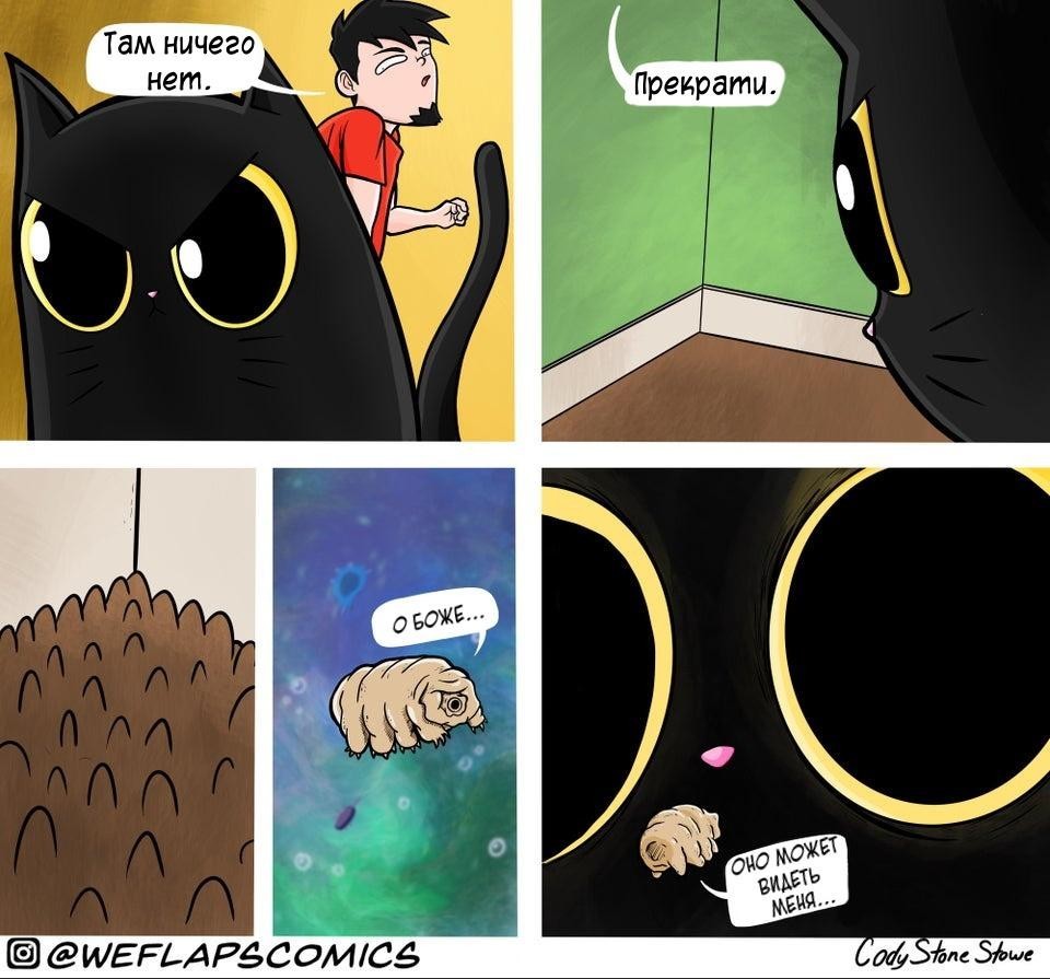 There is nothing there - Comics, Web comic, cat, Tardigrade