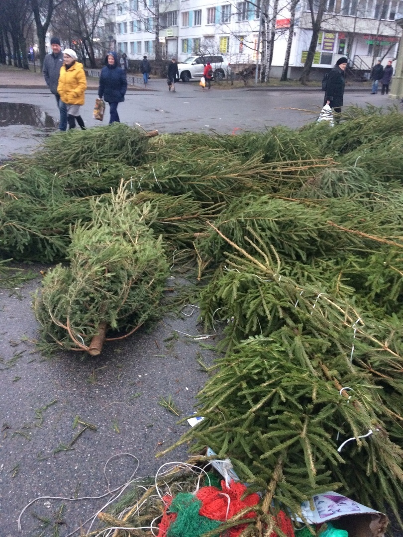 This has never happened before and here it is again - Chistoman, Christmas trees, Disposal, New Year, Longpost, Negative