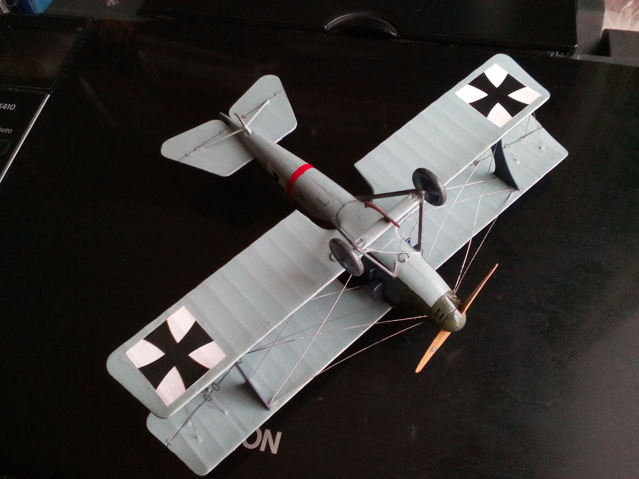 Flying whale. LFG Roland C.IIa Walvis - My, Stand modeling, Prefabricated model, Aircraft modeling, Aviation, World War I, Biplane, Longpost