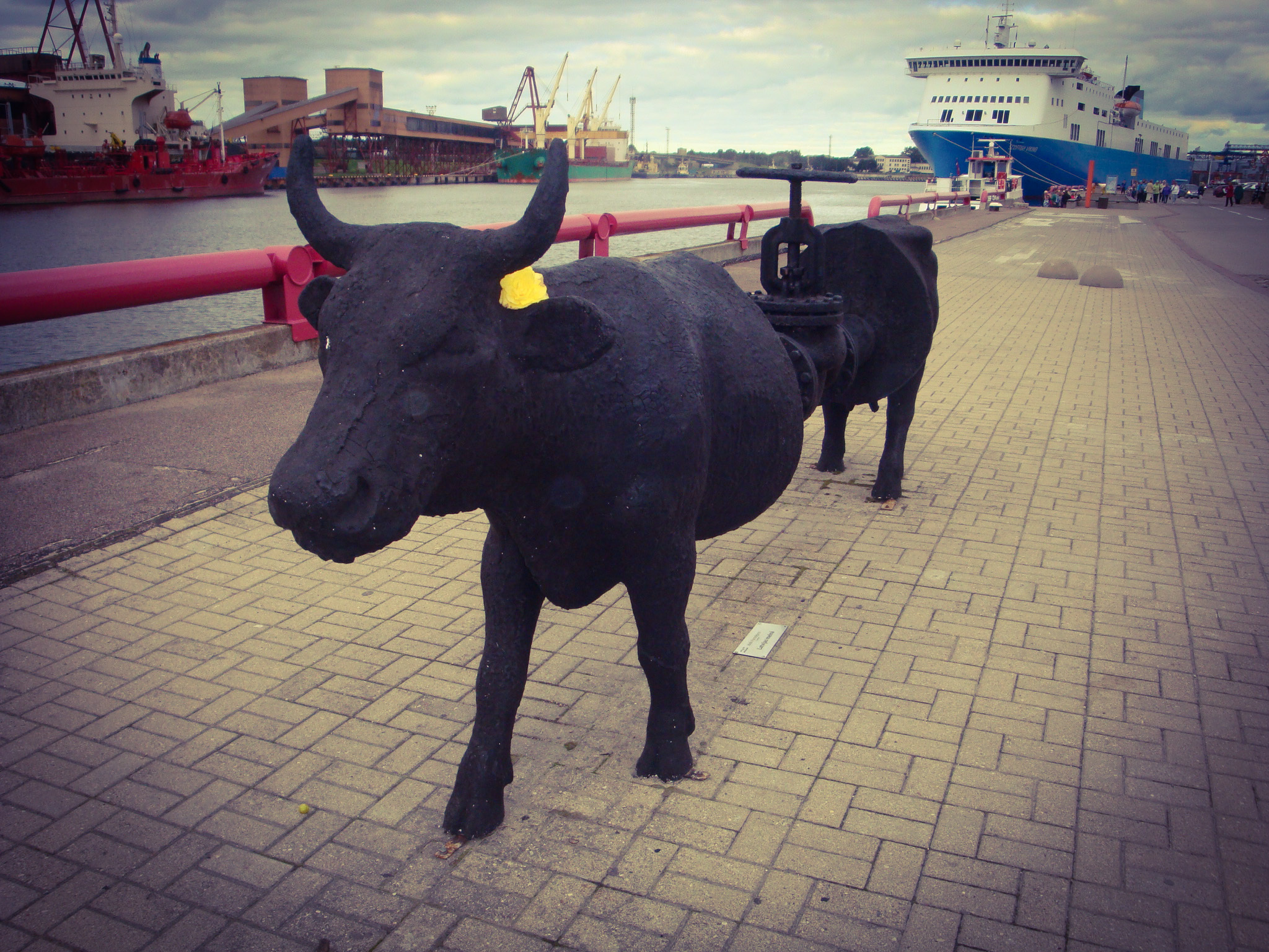 Cows and linear algebra. Continuation - My, Cow, Ventspils, Travels, Latvia, Algebra, Longpost