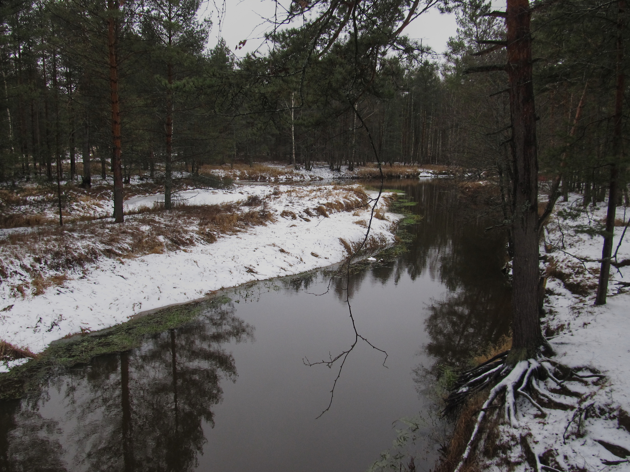 Nerskaya River - My, PVD, Meshchera, Longpost, Bike ride