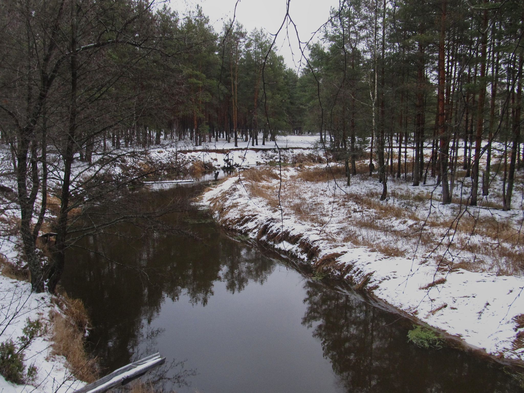 Nerskaya River - My, PVD, Meshchera, Longpost, Bike ride