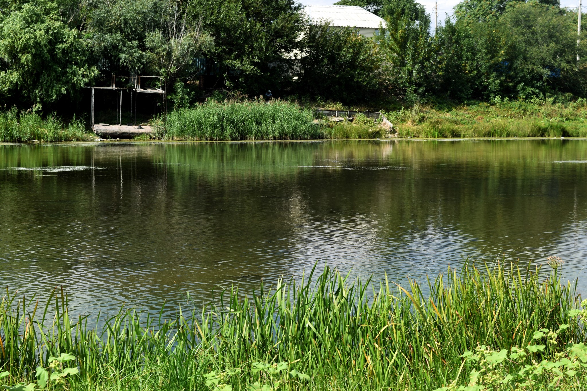 Silver Volozhka - My, Nature, River