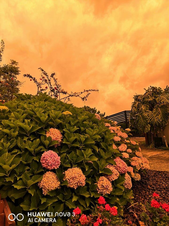 Has the apocalypse already arrived? - My, New Zealand, Australia, Fire, The photo, Apocalypse, Longpost