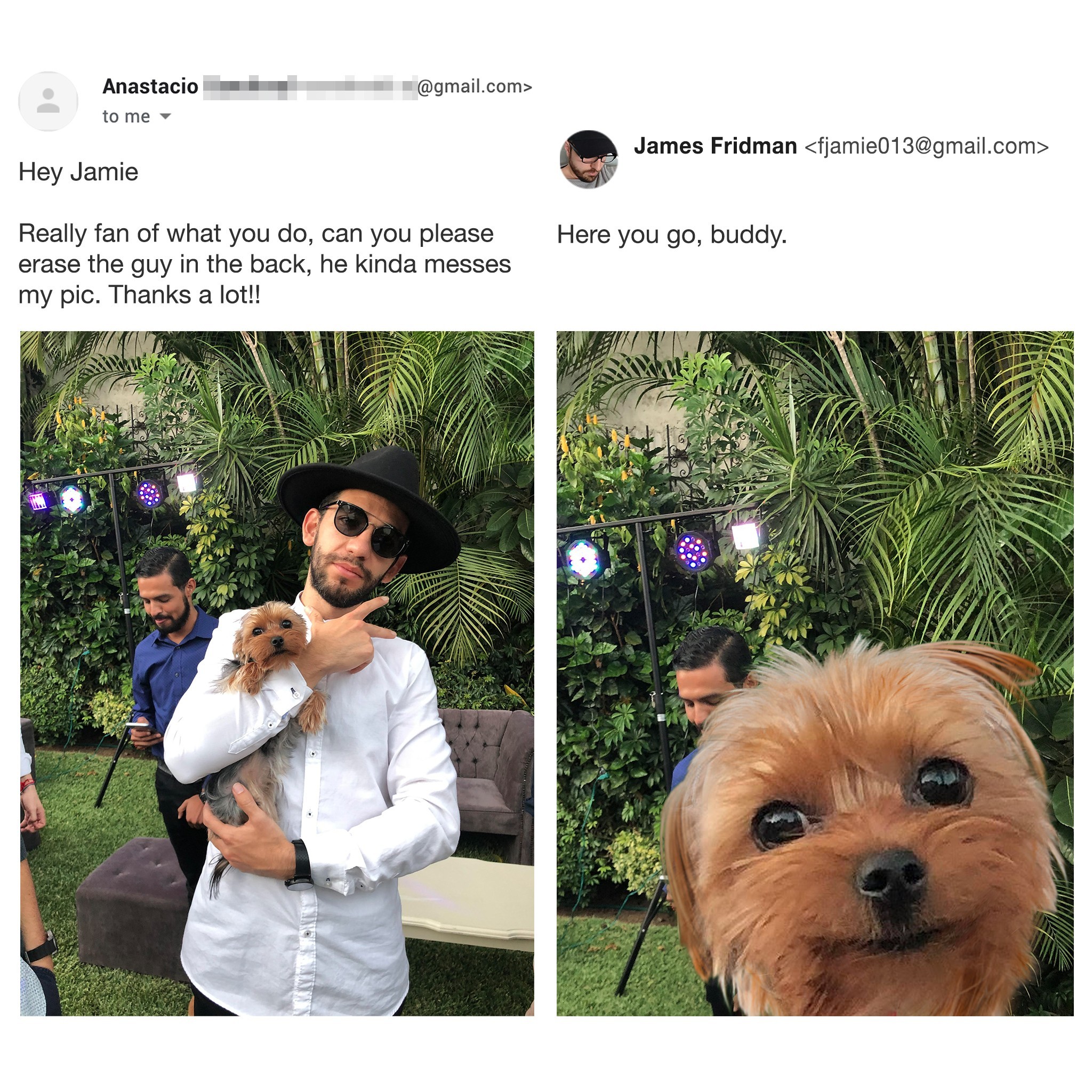 Hello Jamie - James Friedman, Photoshop master, Dog