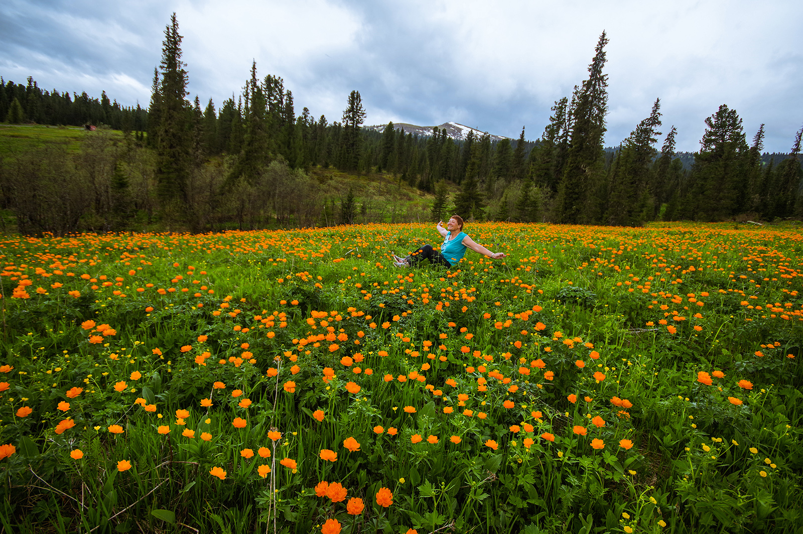 Flower seas - My, Ergaki, Flowers, Travels, Holidays in Russia, Leisure, Family holiday, wildlife, Michael, Longpost