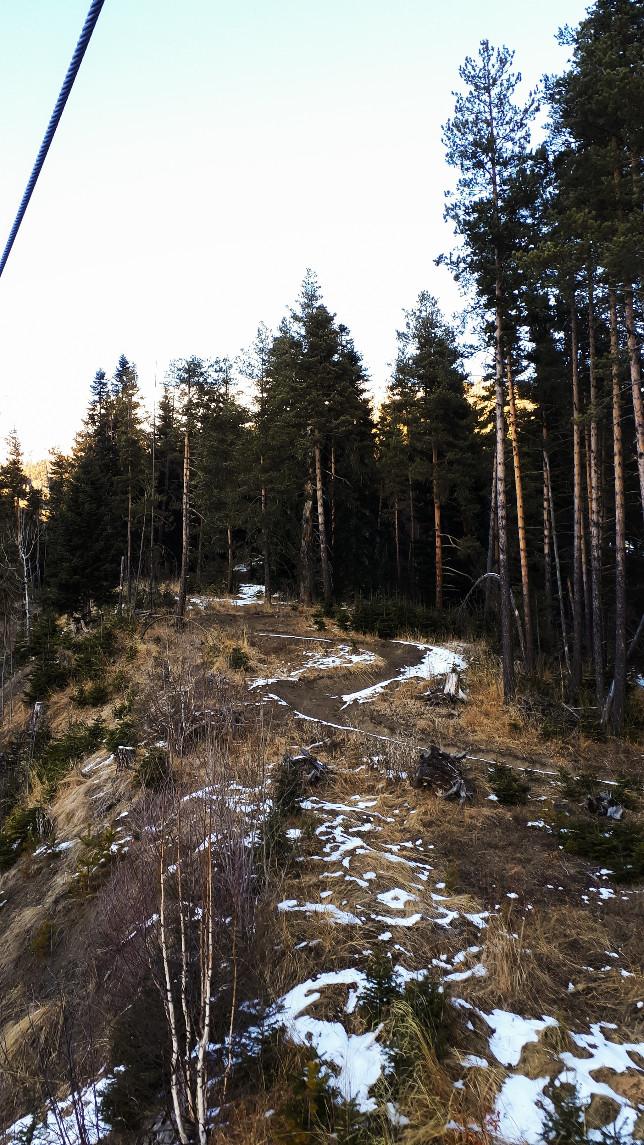 The roads of unseen animals - My, Beginning photographer, Winter, Arkhyz, Cable car, Forest