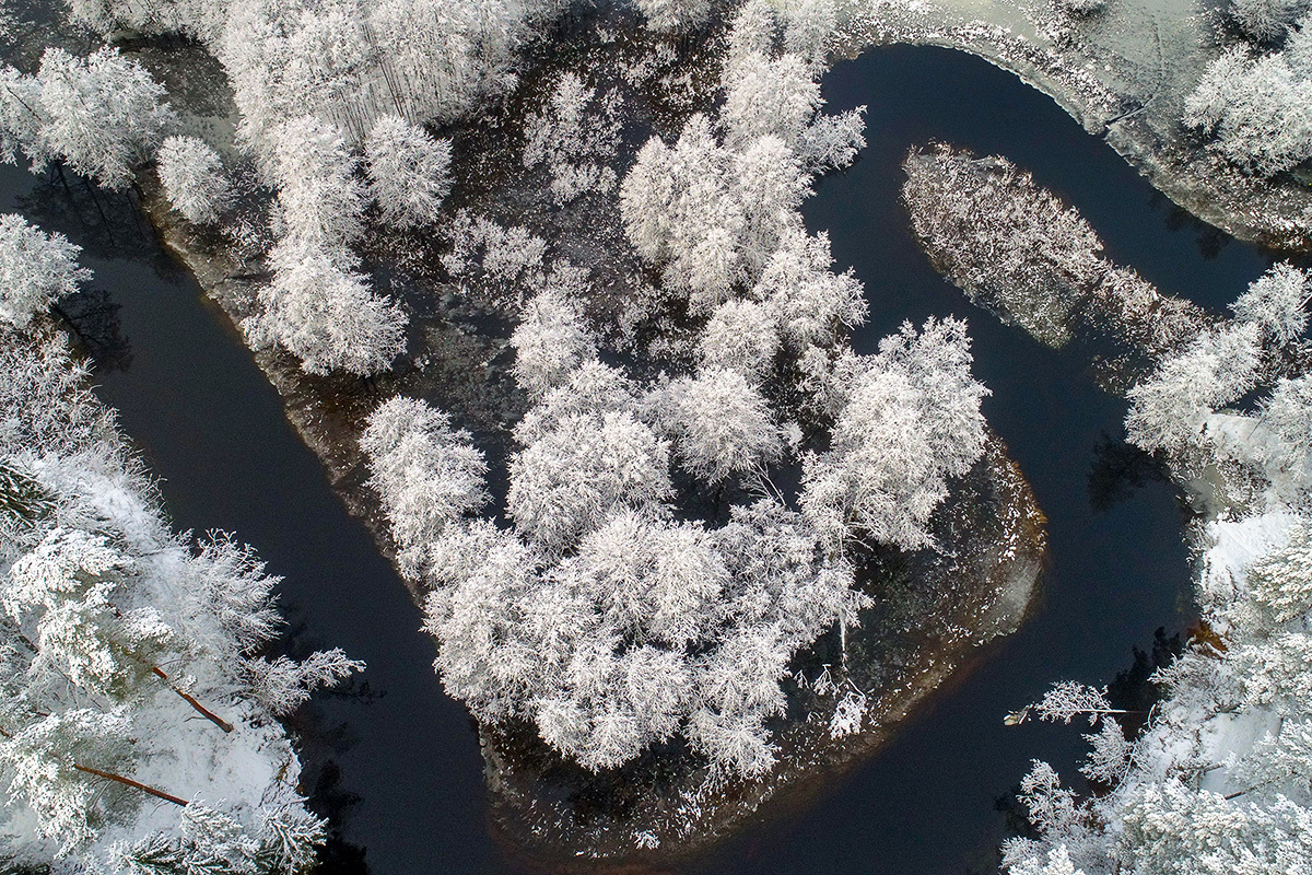 Belarus. Reserve Krasny Bor - Republic of Belarus, Krasny Bor, Nature, The photo, Longpost