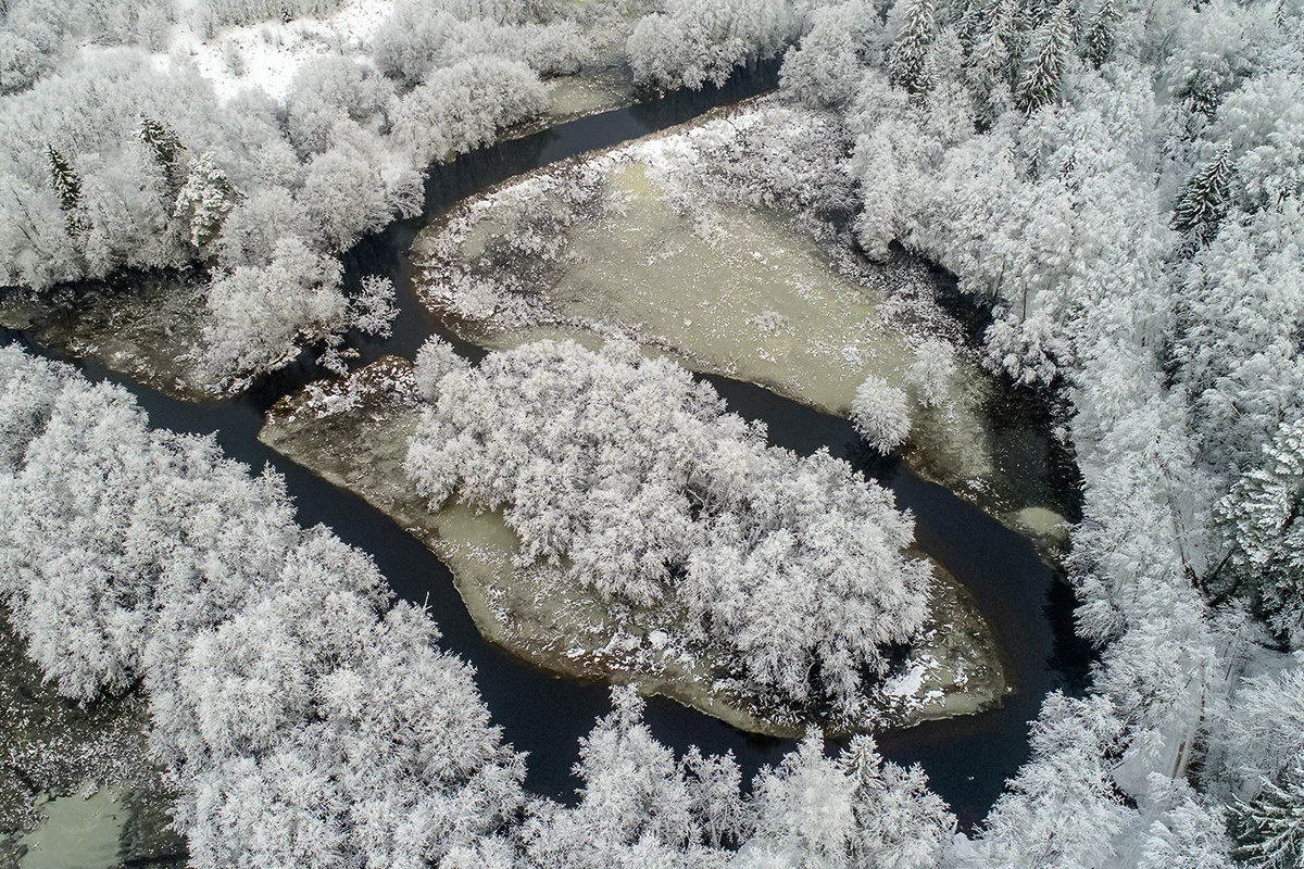 Belarus. Reserve Krasny Bor - Republic of Belarus, Krasny Bor, Nature, The photo, Longpost