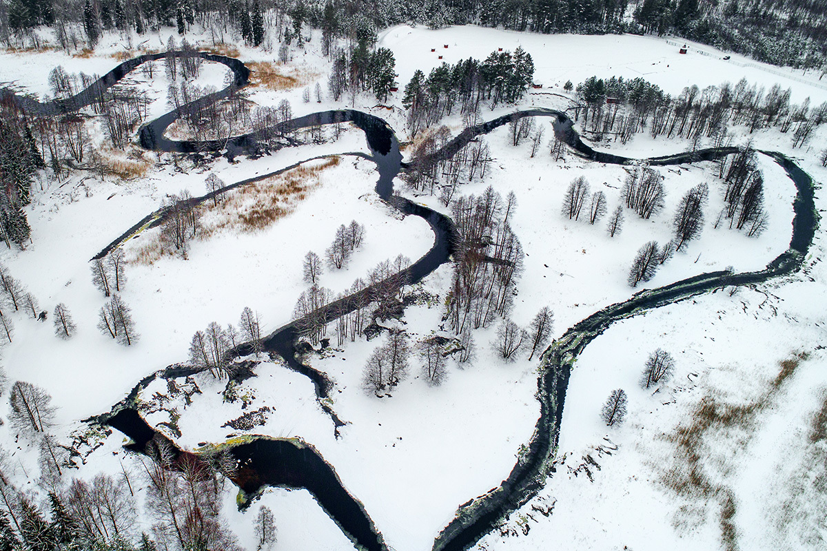 Belarus. Reserve Krasny Bor - Republic of Belarus, Krasny Bor, Nature, The photo, Longpost