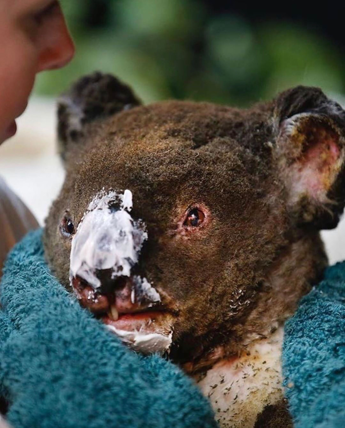 Some pictures from Instagram of Australian photographers - From the network, Australia, Forest fires, Longpost