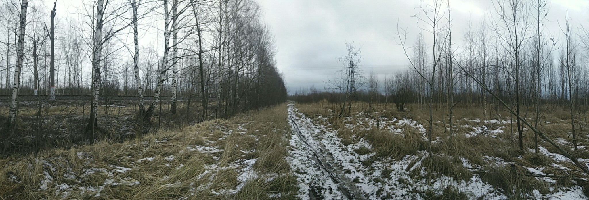 Эксперимент: хаски и фитнес-браслет - Моё, Собака, Хаски, Фитнес-Браслет, Собаки и люди, Эксперимент, Прогулка, Длиннопост