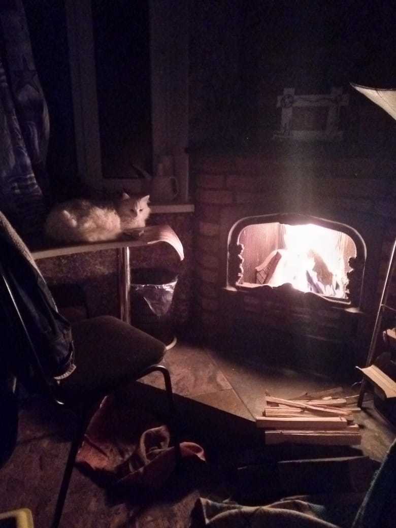 Just a photo - My, New Year, cat, Fireplace