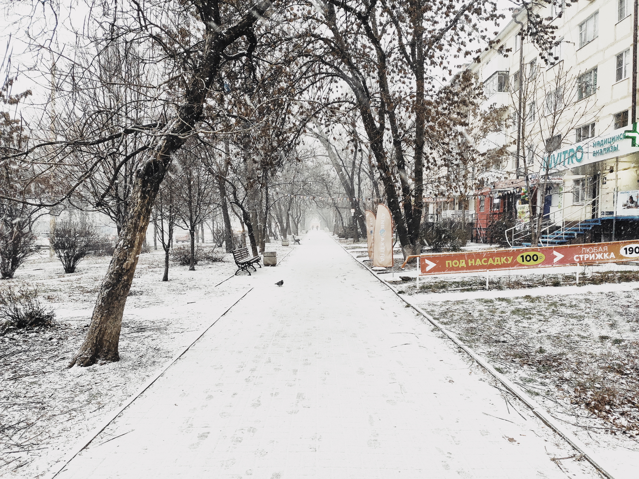 Seasons in Rostov) - My, Mobile photography, Rostov-on-Don, Longpost