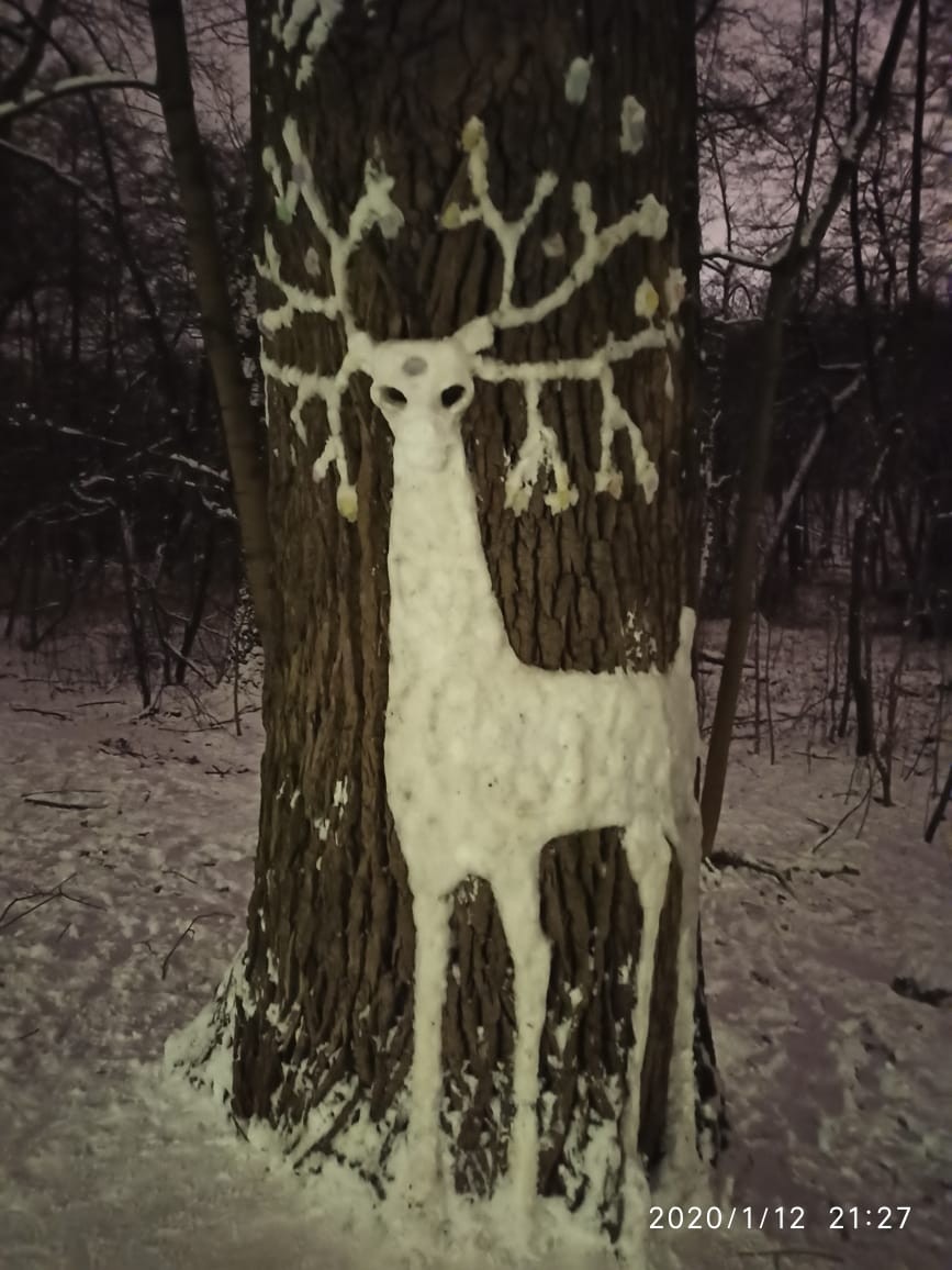 Deer! - My, Deer, Tree, Longpost, Snow