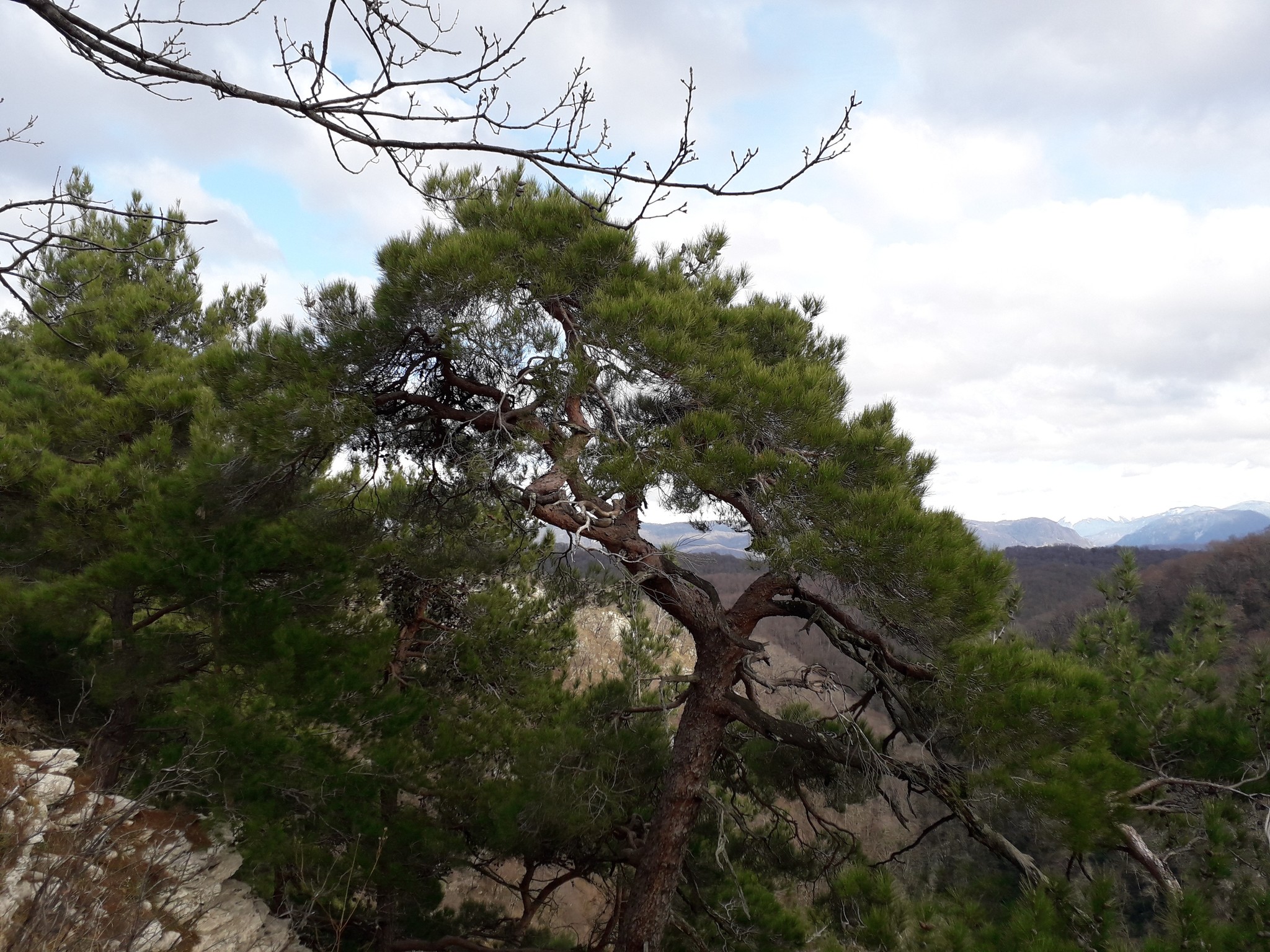 Matsesta. Prometheus statue - My, Sochi, Prometheus, Matsesta, Eagle Rocks, Video, Longpost