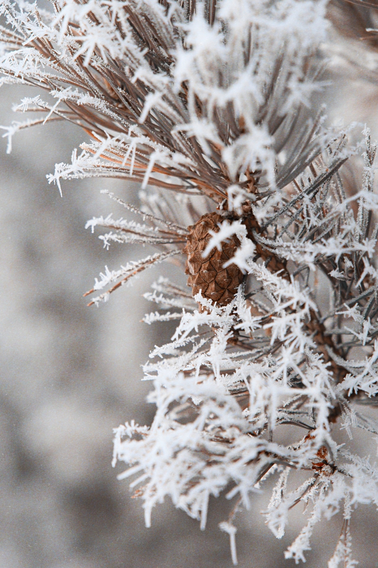 It's just frozen water - My, Winter, Canon, Longpost