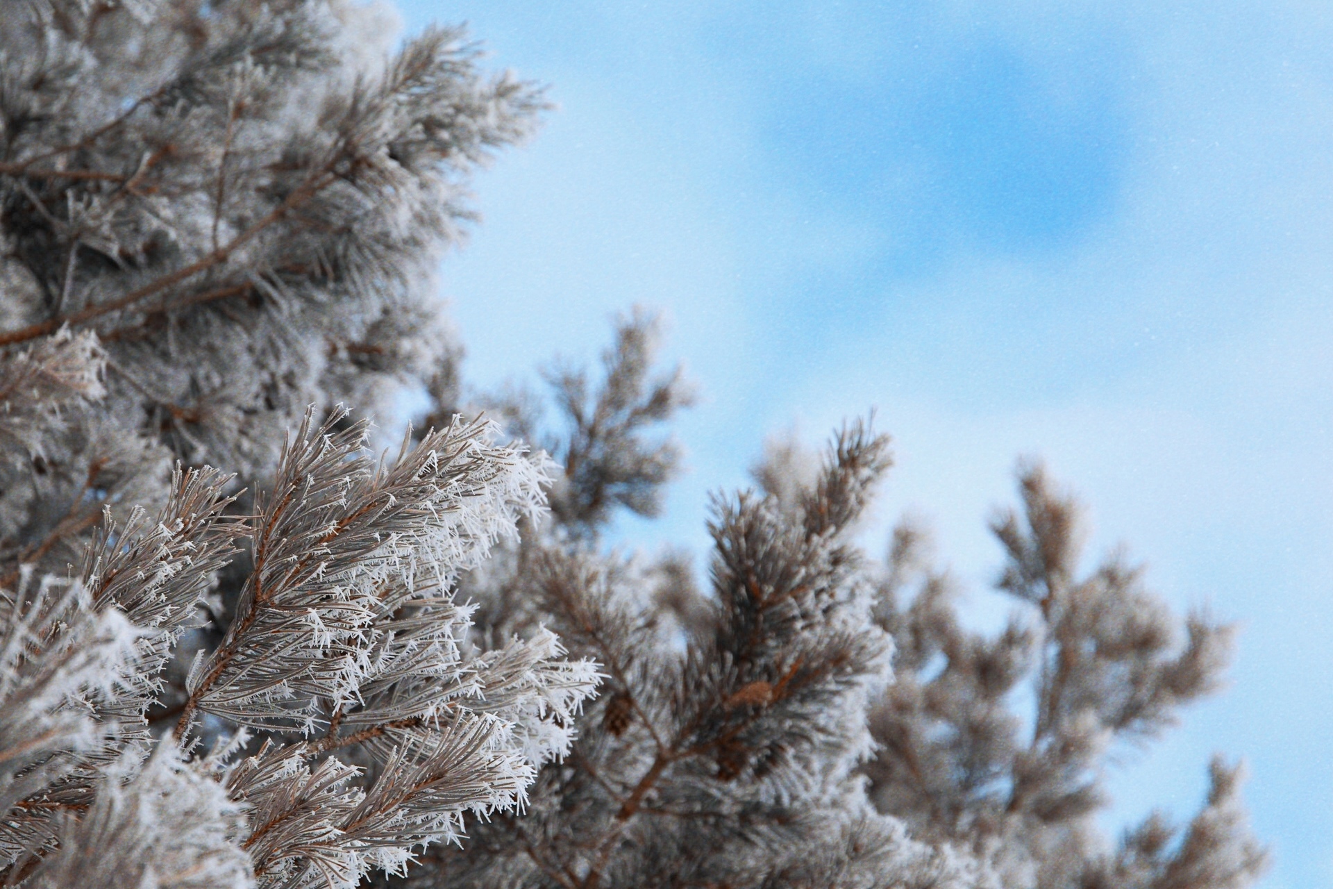 It's just frozen water - My, Winter, Canon, Longpost