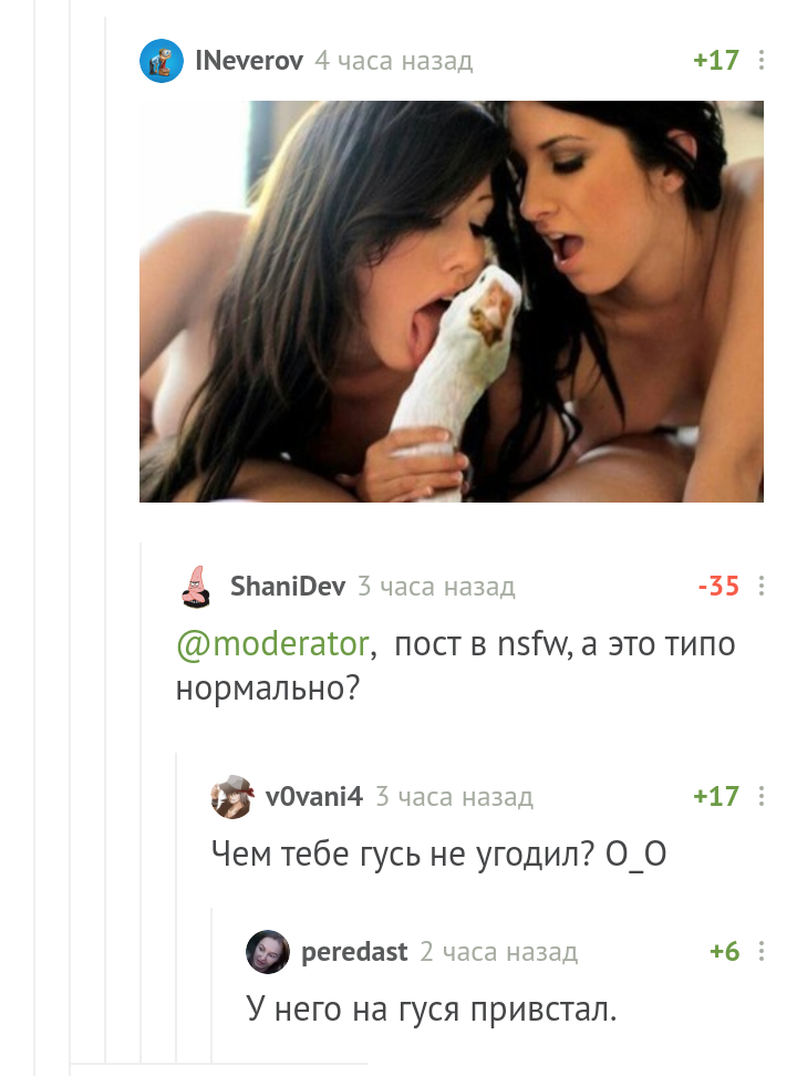 Goose is shocked - Screenshot, Гусь, Comments on Peekaboo