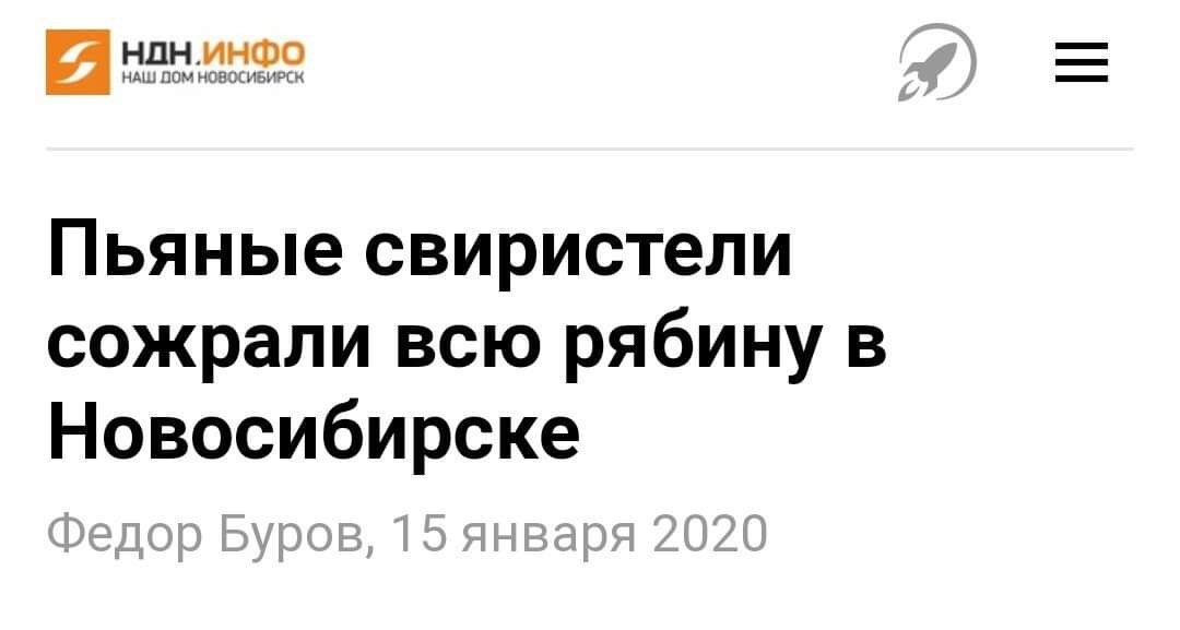 И о главном - Новосибирск, Свирестель, Пьяные, Картинки, Картинка с текстом, Новости, Заголовки СМИ