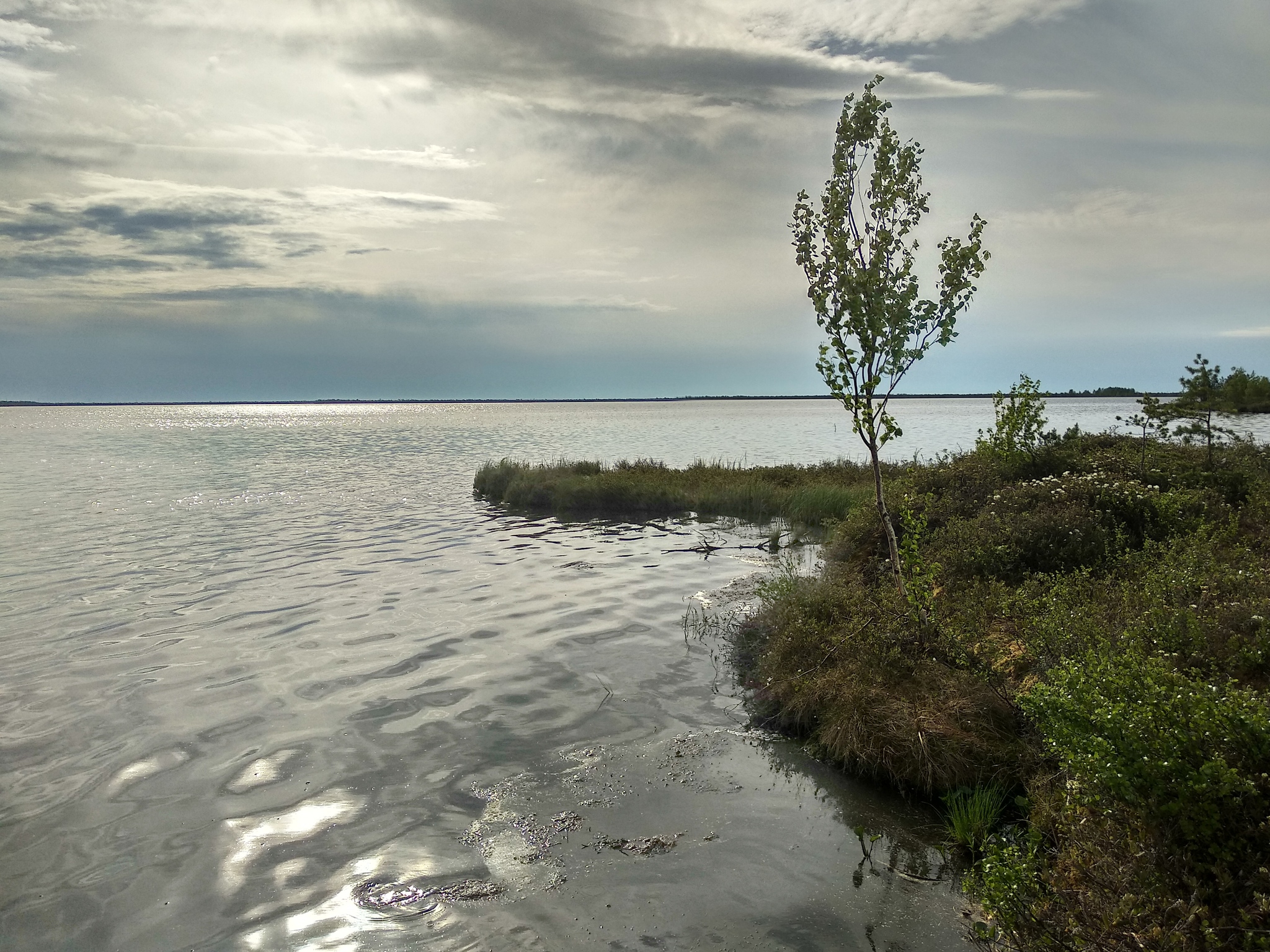 Lake - My, Mobile photography, KhMAO