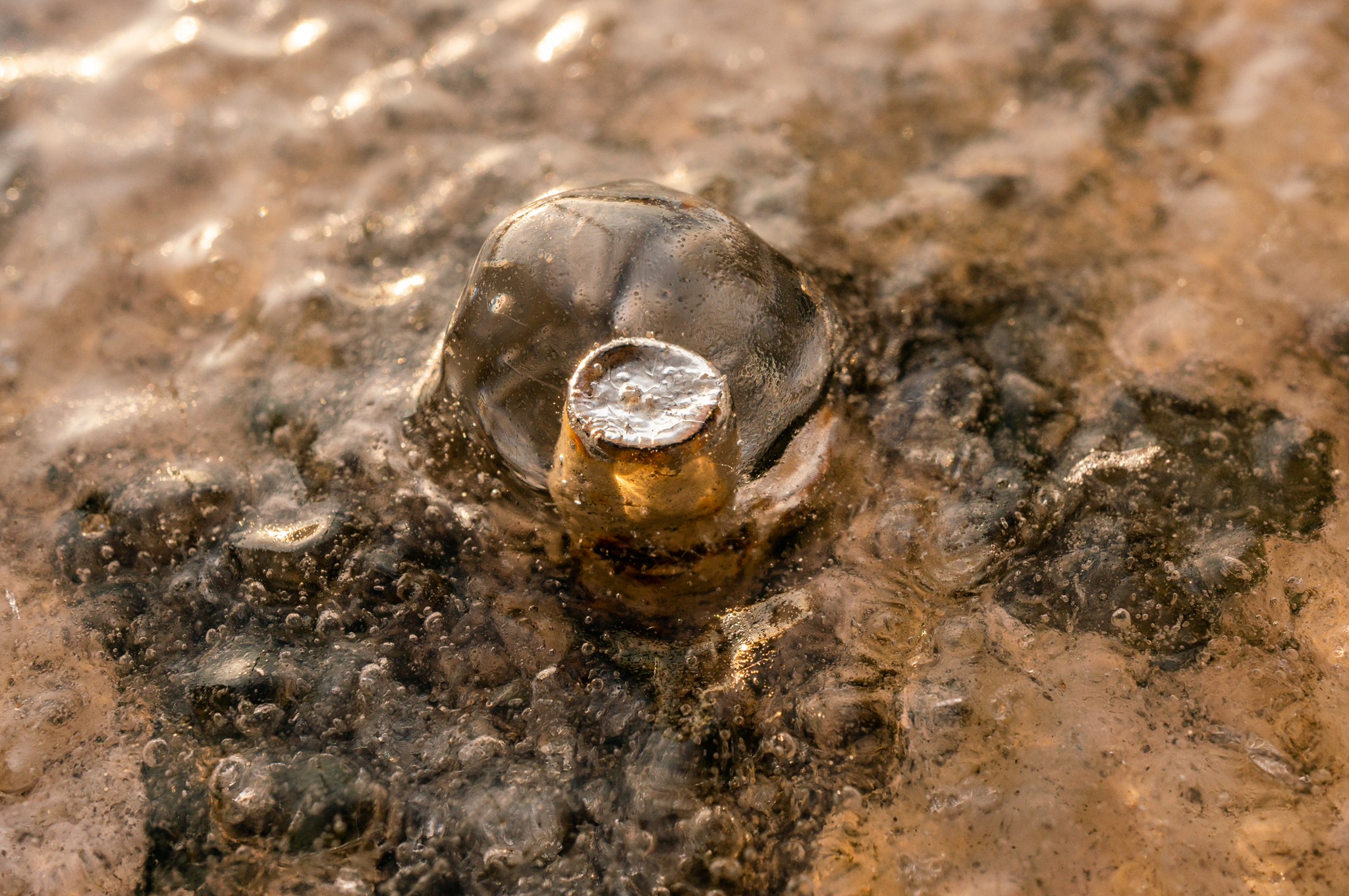 freezing rain - My, The photo, Macro photography, Ice, Winter, Longpost, Freezing rain