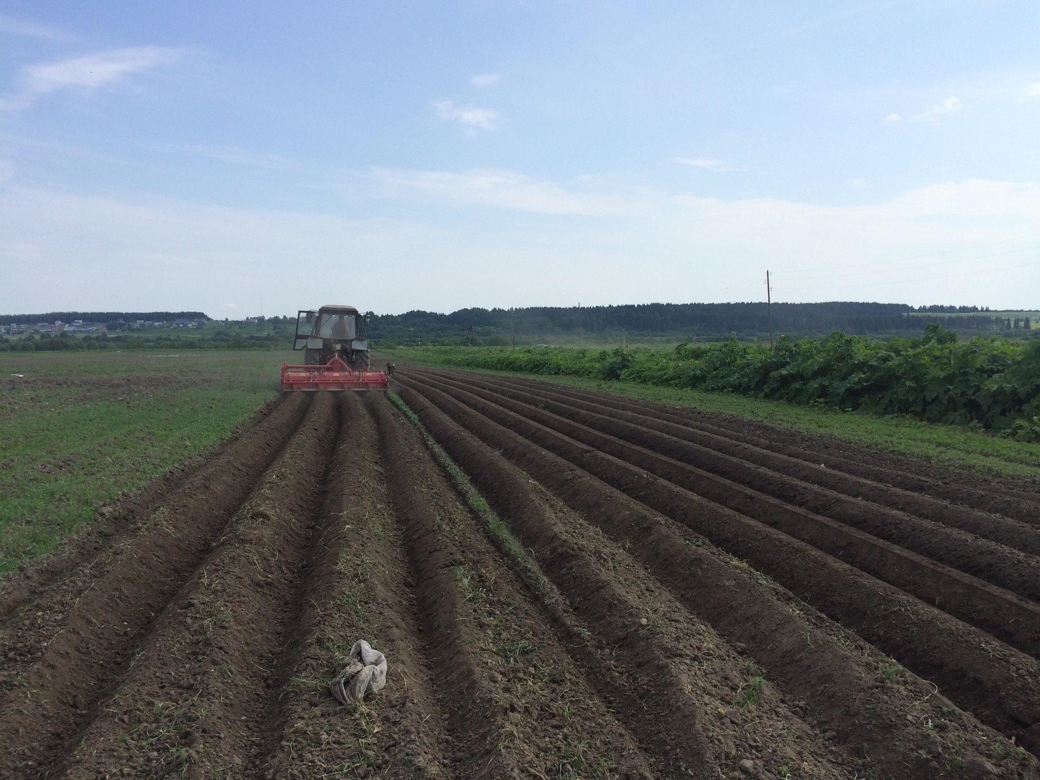 Farmer's Diary. Answers on questions - Сельское хозяйство, Rural life, Collective farm, Milk products, Personal experience, Mat, Longpost, Tractor