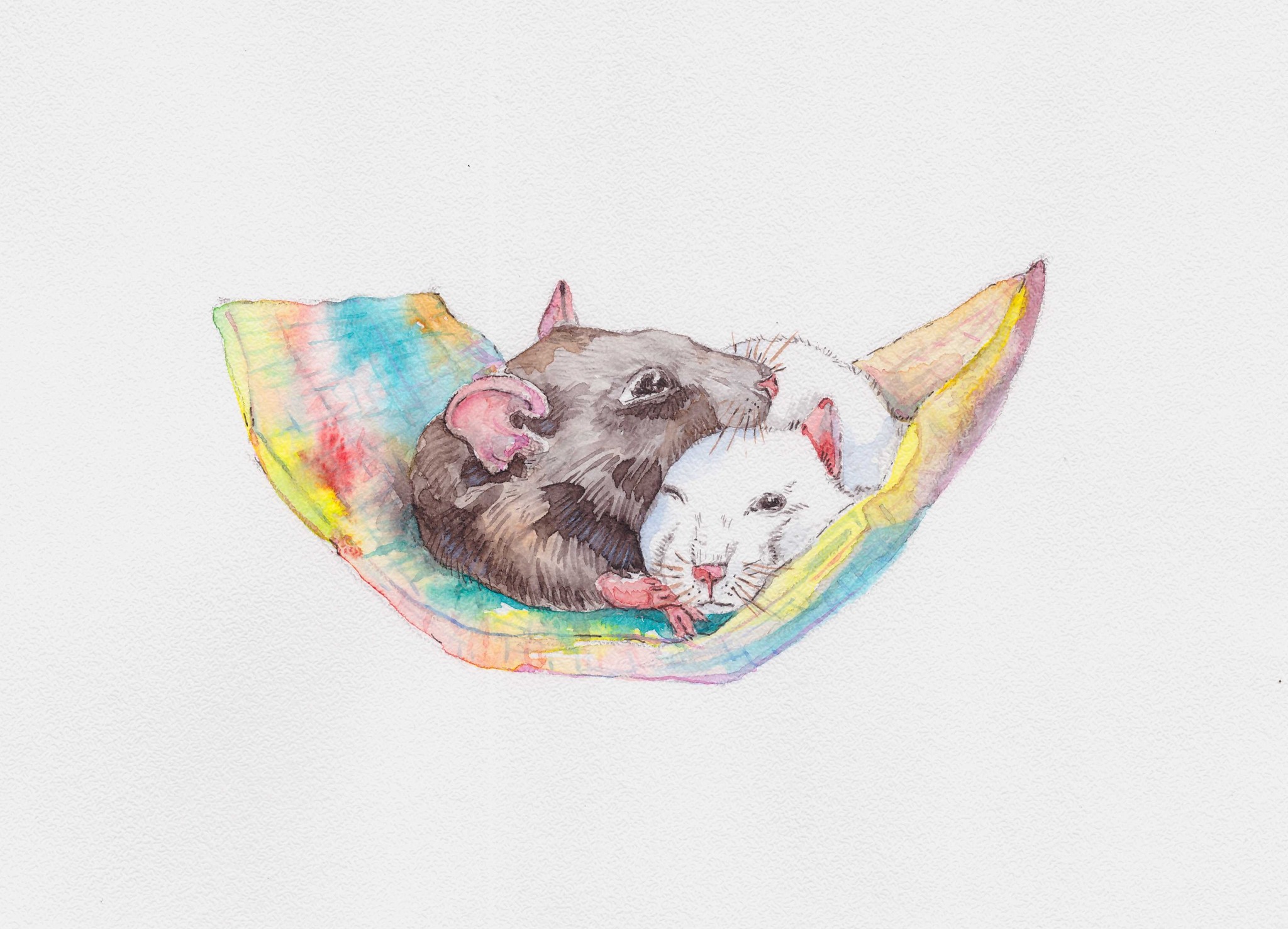 Kalyaki-malyaki - My, Watercolor, Rat, French Bulldog, Dog, Drawing, Longpost, Animals, Animalistics, Flowers