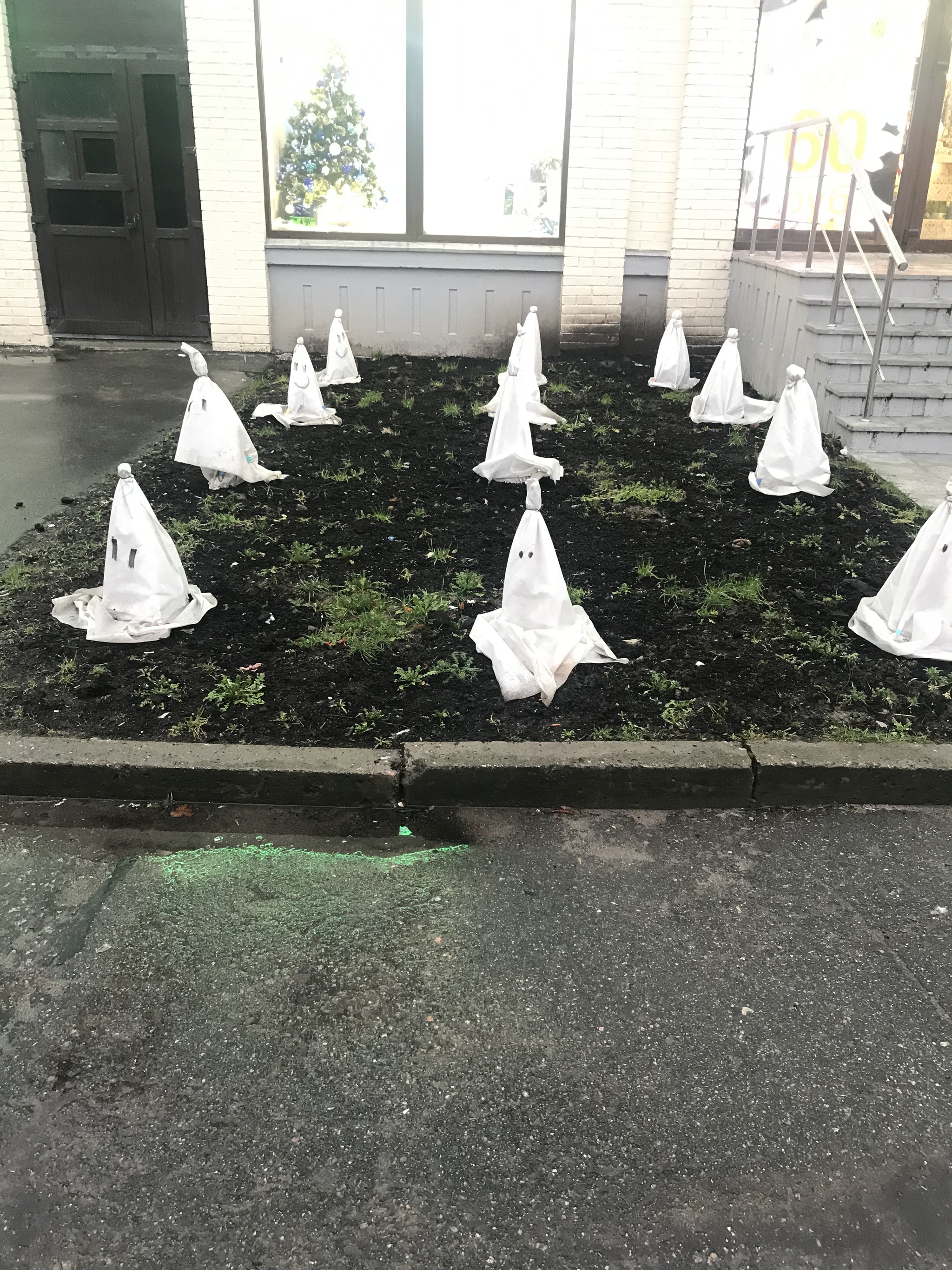 Ku Klux Klan in Kupchino - My, Flowers, Saint Petersburg, Ku Klux Klan