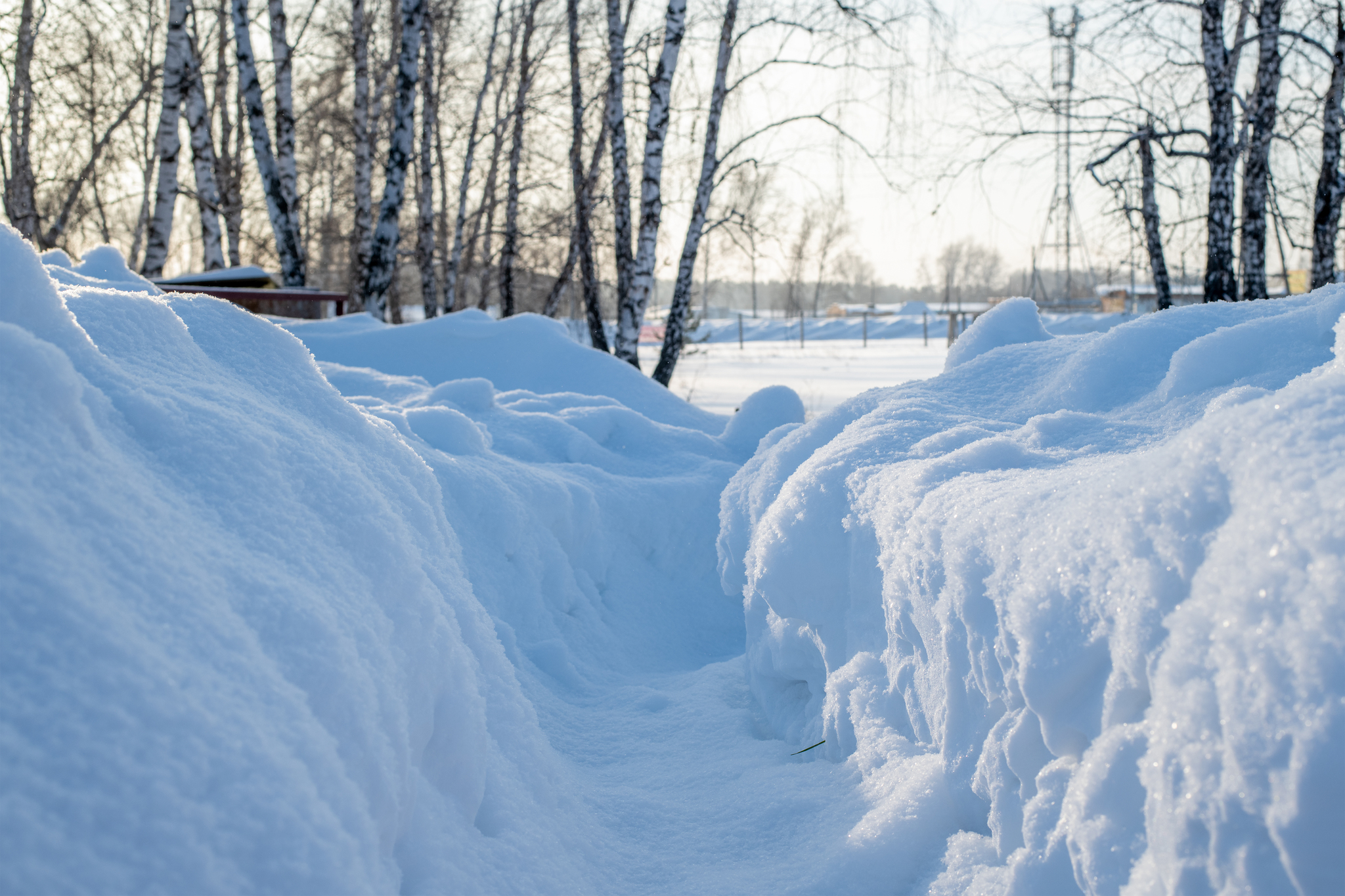 Trip to the Novosibirsk region - My, Forest, River, Track, Winter, Siberia, Novosibirsk region, Ordynskoye, Nikon d850, Longpost