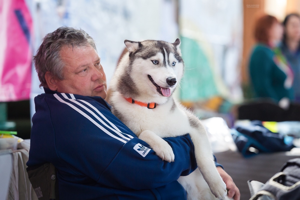 Another series of reportage photographs from dog shows held in the South of Russia - enjoy viewing and good mood))) - My, Dog, Dogs and people, Dog lovers, Dog days, Dog show, Animalistics, Longpost