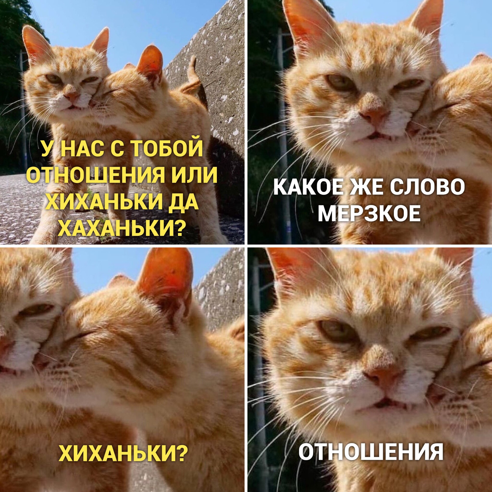 Отношения - Кот, Котомафия, Милота