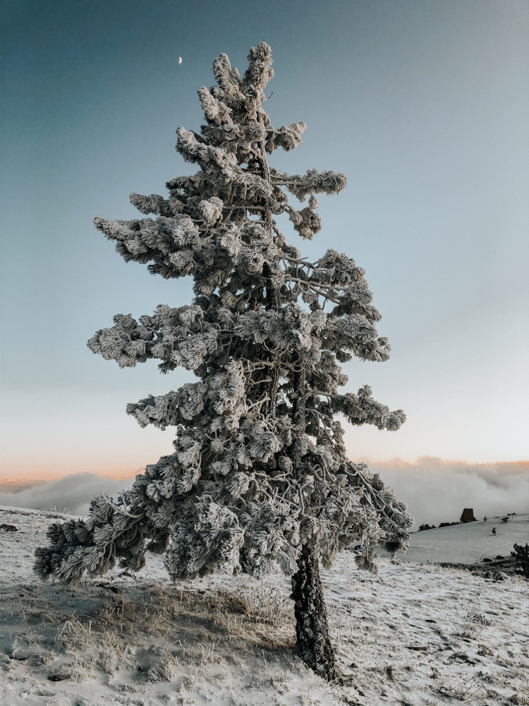 Ai-Petri, winter in the mountains 2 - My, Mobile photography, Nature, The mountains, Photo on sneaker, Phone wallpaper, Longpost