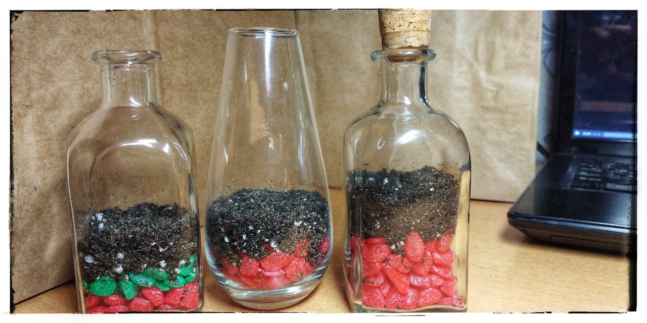 On the topic of closed biospheres 2 - My, Plants, With your own hands, Garden in a Bottle