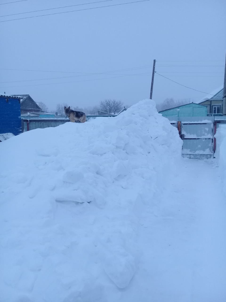 Be careful of precipitation - Winter, Snow, Work, Longpost, Altai Republic