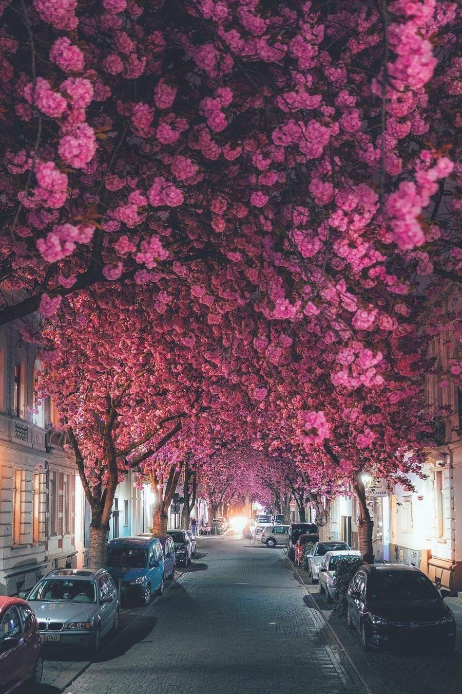 Magical... - The photo, The street, beauty