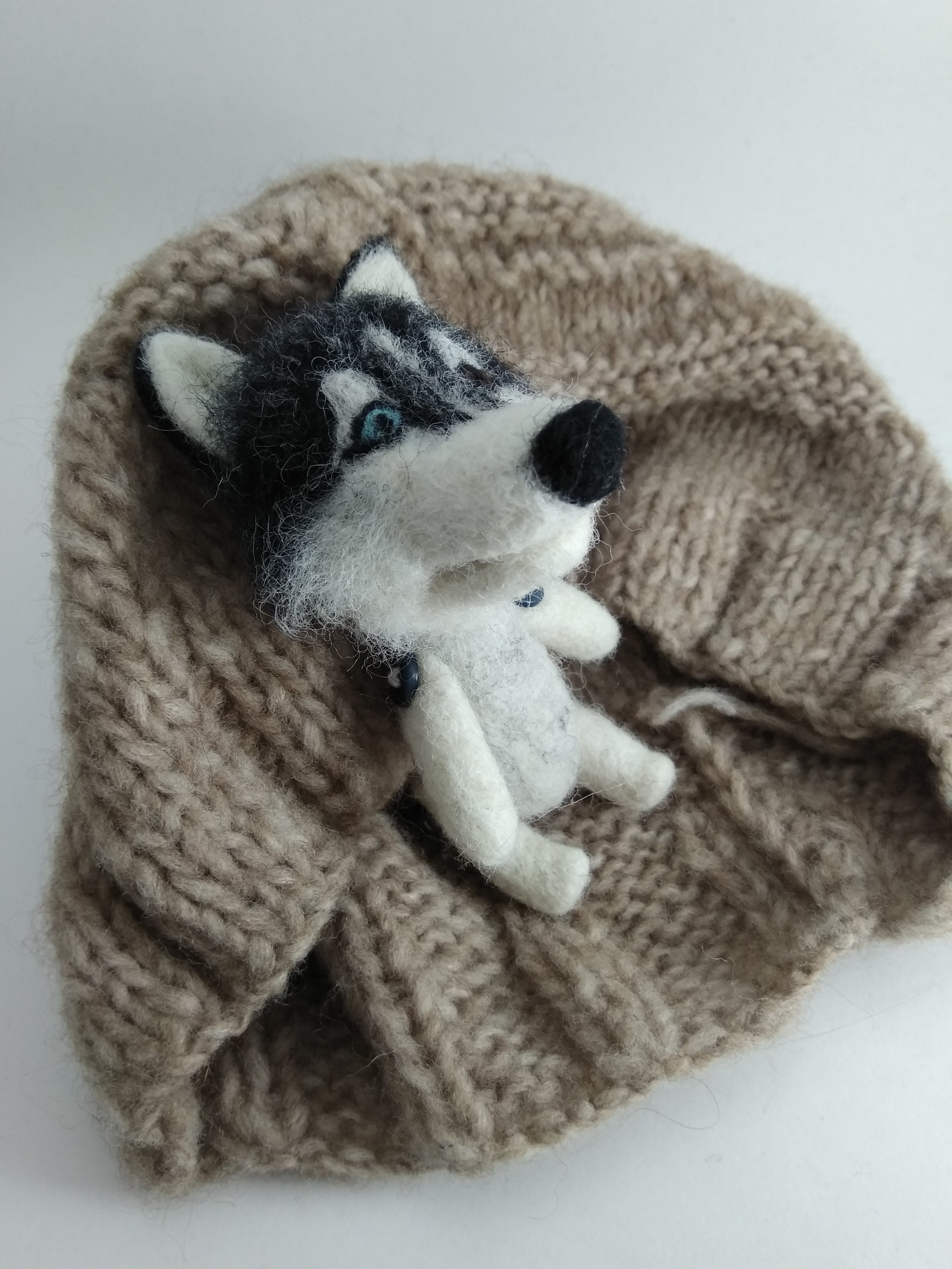 Husky with my hands - My, Husky, Needlework without process, Dry felting, Animals, Longpost