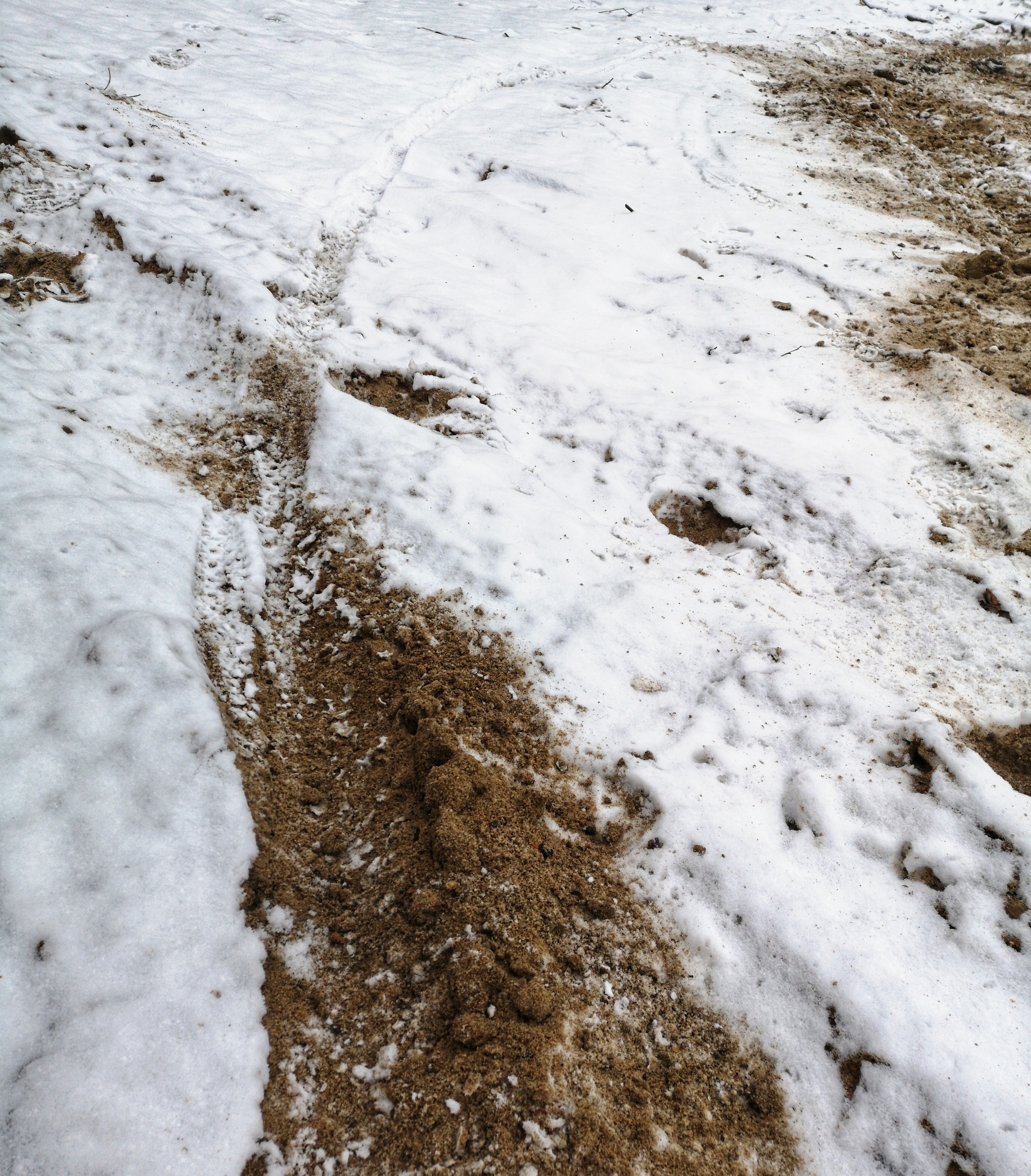 Along the beaches of the Uchinsky reservoir - My, A bike, Winter, Longpost